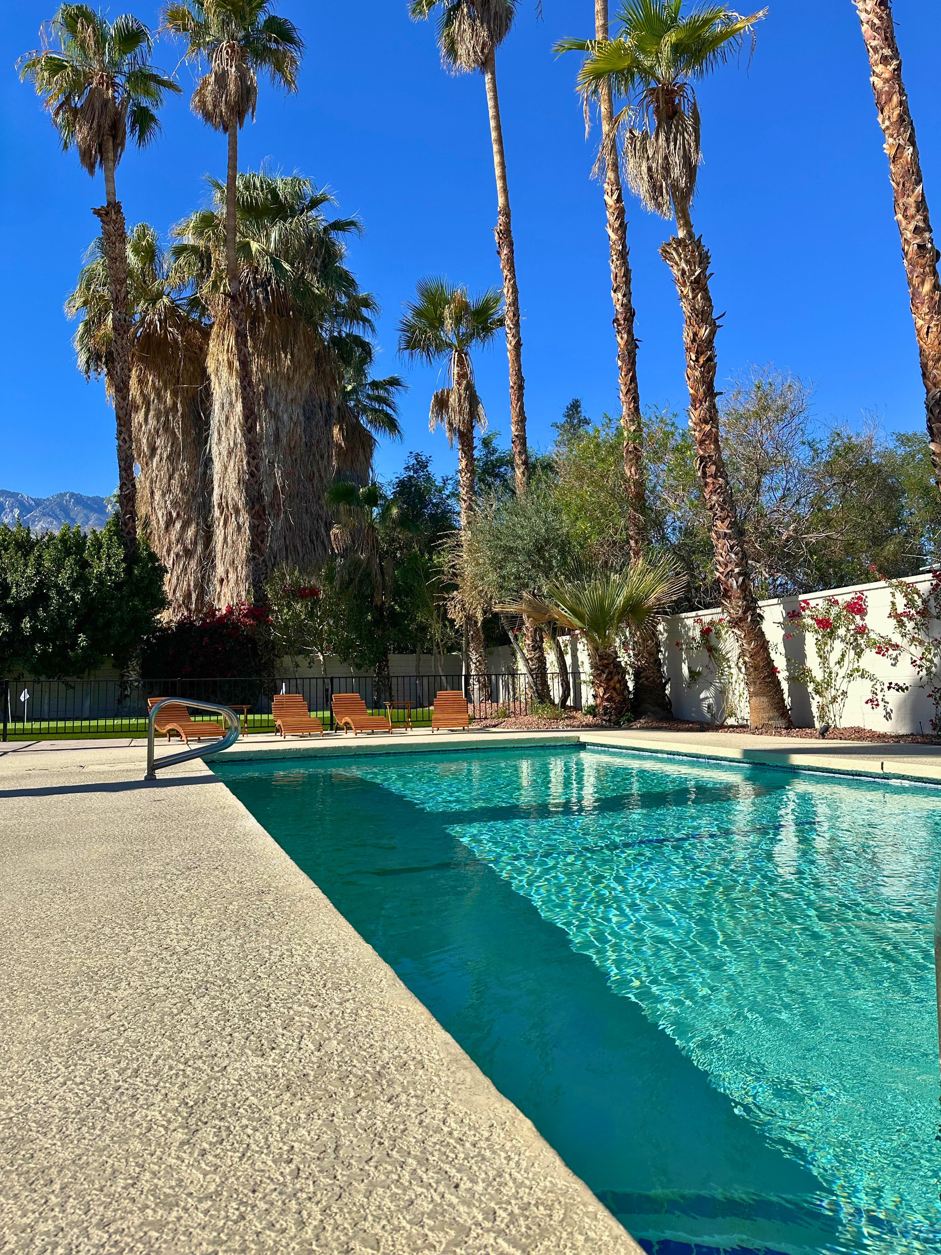 Desert Willow Wellness photo
