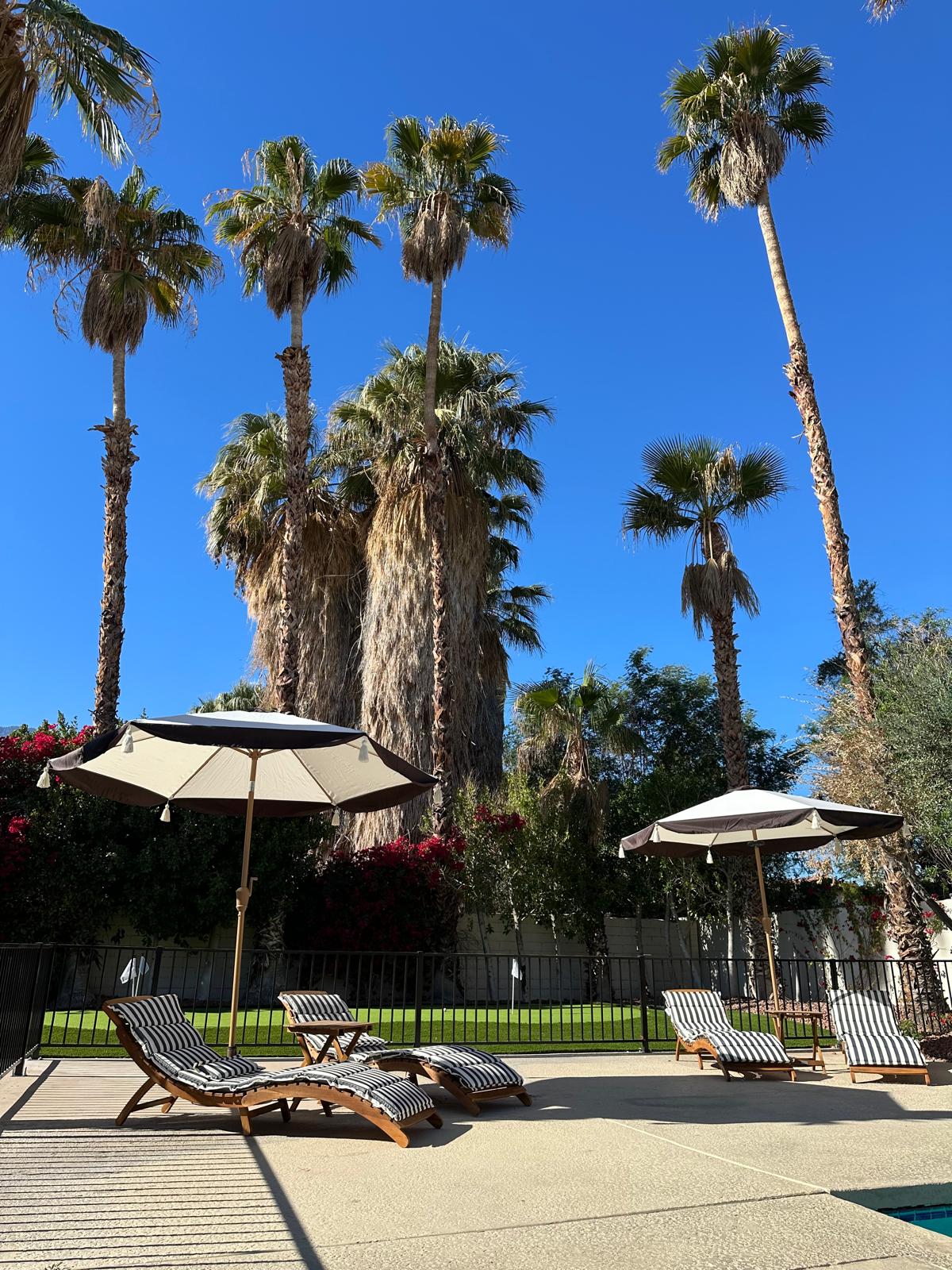 Desert Willow Wellness photo